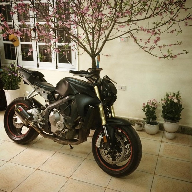 Honda CBR600 độ cực chất, đi chơi Tết của biker Hà Nội - ảnh 2