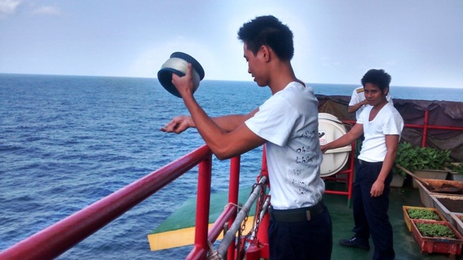 Lộc biển và cuộc 'bình' thư tình siêu độc của lính nhà giàn - ảnh 1