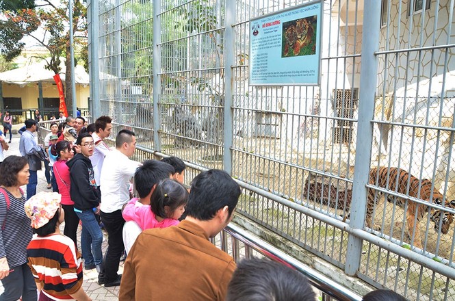 Khu vui chơi đông nghịt người du xuân đầu năm - ảnh 10