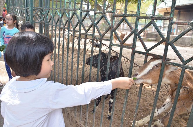 Khu vui chơi đông nghịt người du xuân đầu năm - ảnh 6