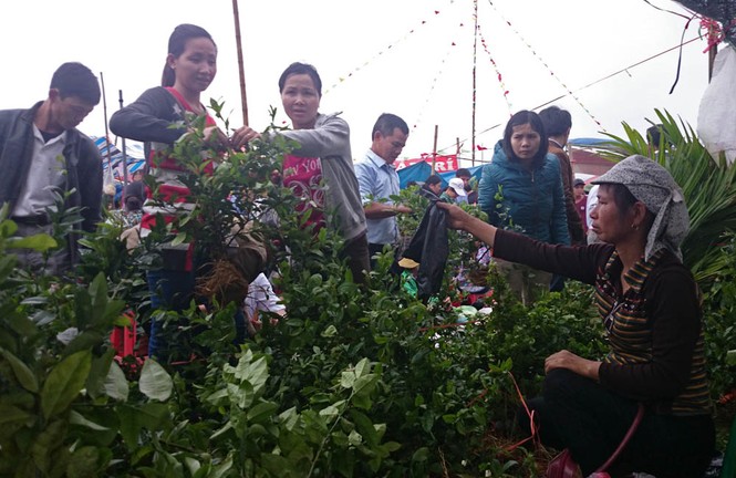 Chưa họp, chợ Viềng đã chật kín người - ảnh 10