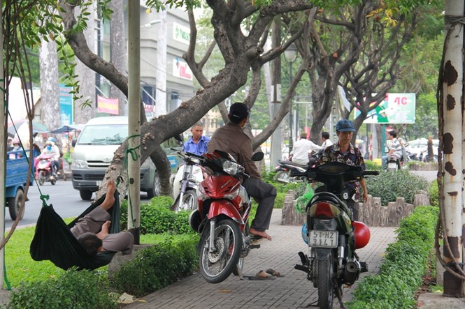 TPHCM: Chống nóng kiểu 'con nhà nghèo' - ảnh 6