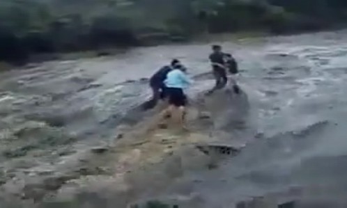 10 video ‘hot’: Thanh niên trộm gà chọi nhét vào cốp xe máy - ảnh 3