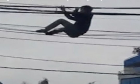 10 video ‘hot’: Thanh niên trộm gà chọi nhét vào cốp xe máy - ảnh 5