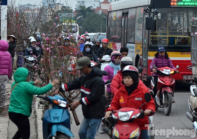Ùn tắc hàng km trên đường vào chợ hoa Quảng An - ảnh 2