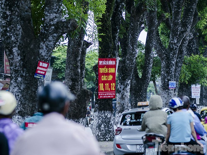 Phướn quảng cáo
