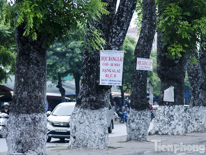 Phướn quảng cáo