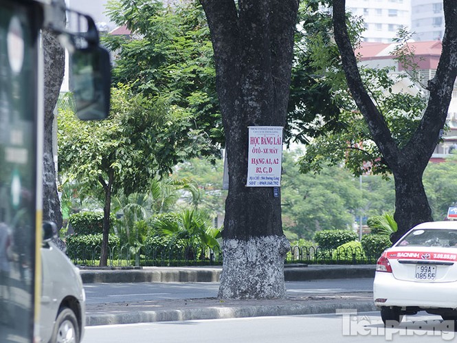 Phướn quảng cáo