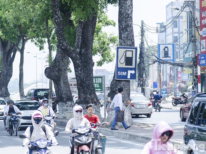 Phướn quảng cáo