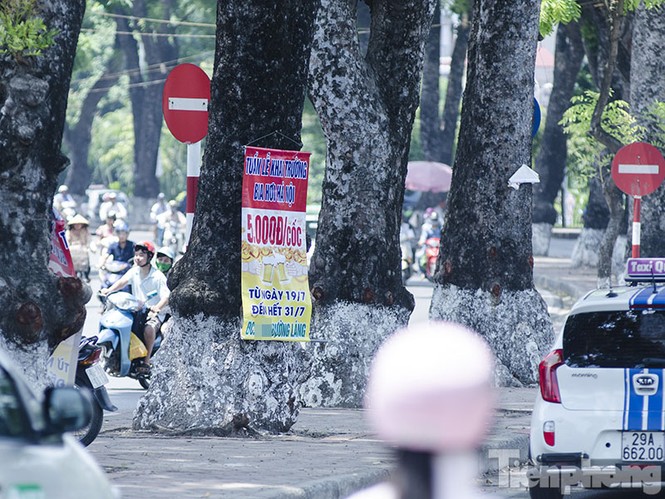 Phướn quảng cáo