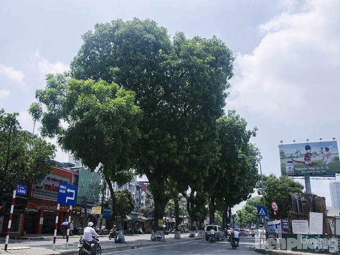 Phướn quảng cáo