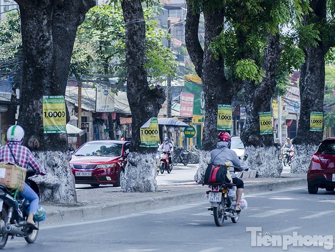 Phướn quảng cáo