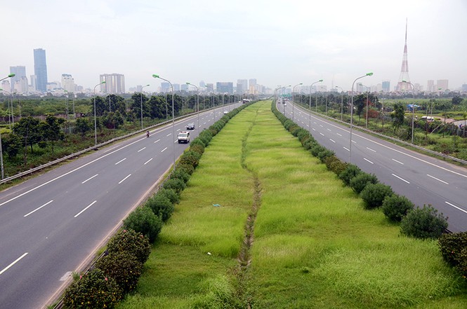 Chi 53 tỷ đồng cắt cỏ, tỉa cây: Đại lộ Thăng Long vẫn như 'rừng' - ảnh 9