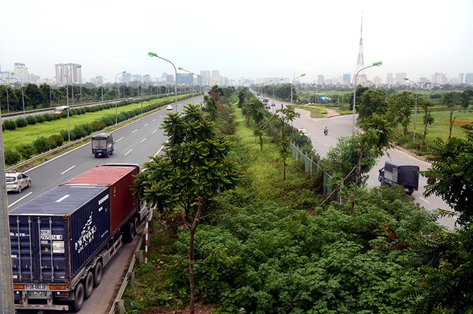 Chi 53 tỷ đồng cắt cỏ, tỉa cây: Đại lộ Thăng Long vẫn như 'rừng' - ảnh 13