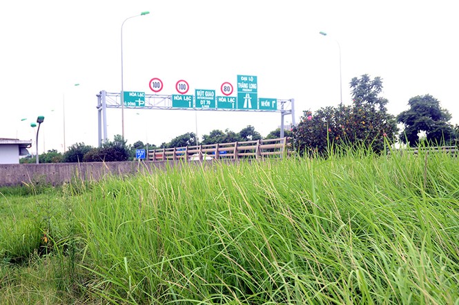 Chi 53 tỷ đồng cắt cỏ, tỉa cây: Đại lộ Thăng Long vẫn như 'rừng' - ảnh 1