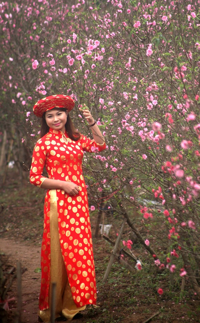 Đào Nhật Tân sớm nở, người trồng lo - ảnh 14