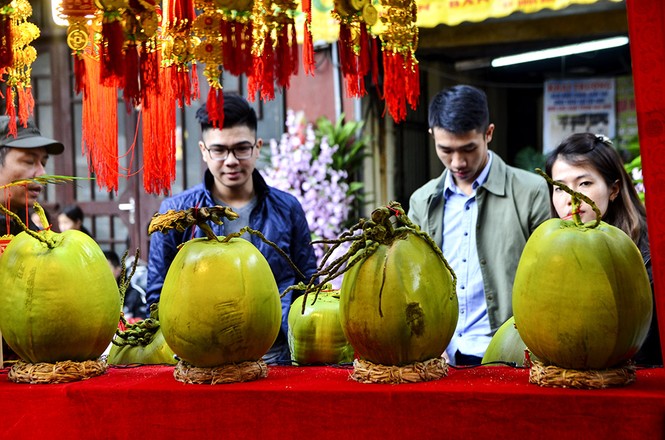 Gần 1 triệu đồng quả dừa hình gà dịp Tết - ảnh 12