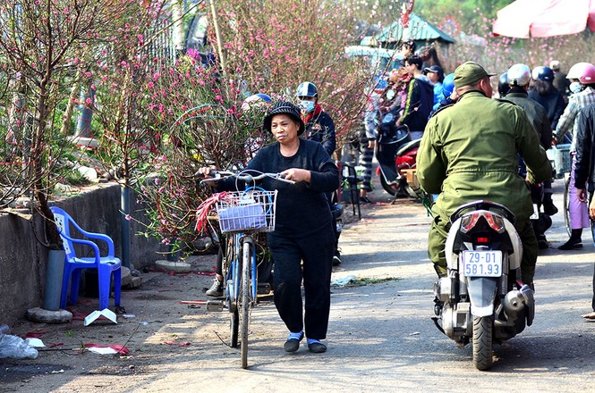 Người dân Thủ đô chen chân ở chợ hoa Tết - ảnh 5