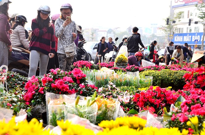 Chen chân sắm Tết trên 'phố hoa' Hoàng Hoa Thám - ảnh 1