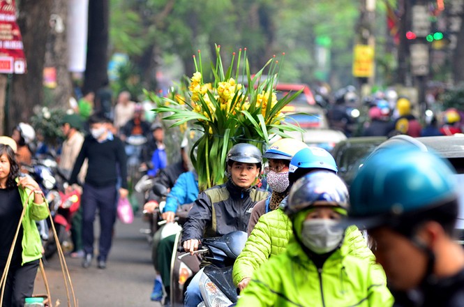 Chen chân sắm Tết trên 'phố hoa' Hoàng Hoa Thám - ảnh 15