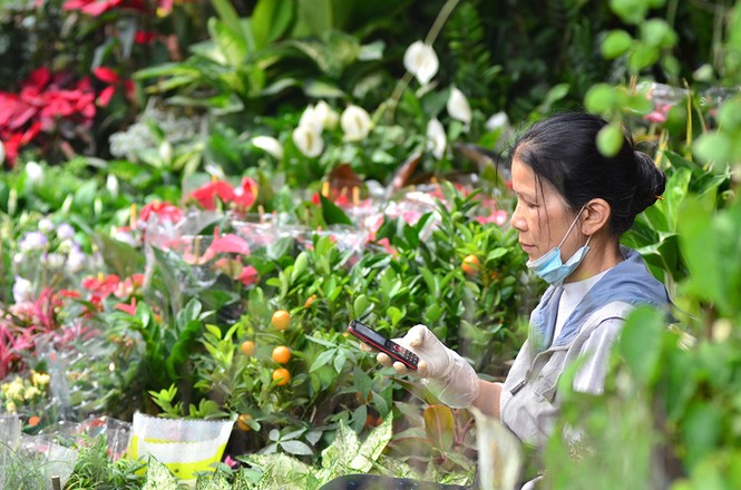Chen chân sắm Tết trên 'phố hoa' Hoàng Hoa Thám - ảnh 6