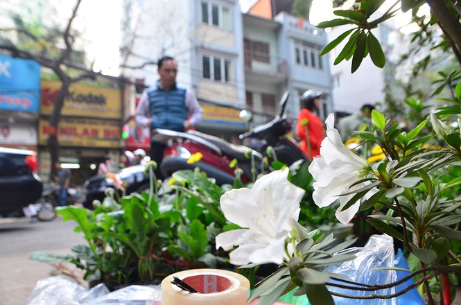 Chen chân sắm Tết trên 'phố hoa' Hoàng Hoa Thám - ảnh 4