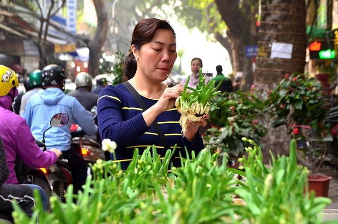 Chen chân sắm Tết trên 'phố hoa' Hoàng Hoa Thám - ảnh 3