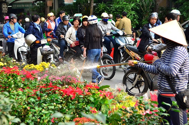 Chen chân sắm Tết trên 'phố hoa' Hoàng Hoa Thám - ảnh 9