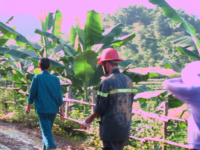 Dùng chó nghiệp vụ tìm kiếm nạn nhân bị vùi lấp ở Hòa Bình - ảnh 3
