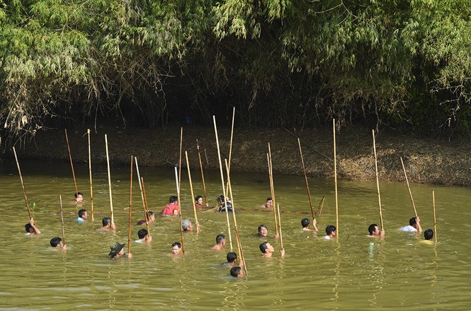 Hàng chục người dân Hà Nội cầm sào ngâm mình dưới sông 'săn' cá - ảnh 7