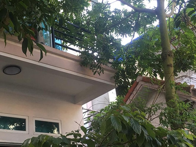 Hiện trường vụ truy sát dã man tại Hà Nội - ảnh 11