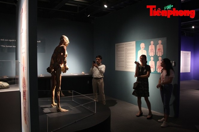 Triển lãm xác người: Người sợ sệt, kẻ hứng thú khi xem - ảnh 1