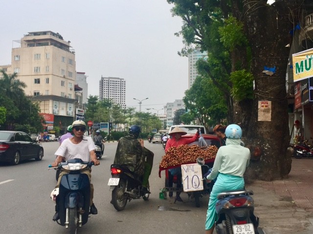 30.000 đồng một kg vải thiều ở Hà Nội - ảnh 1