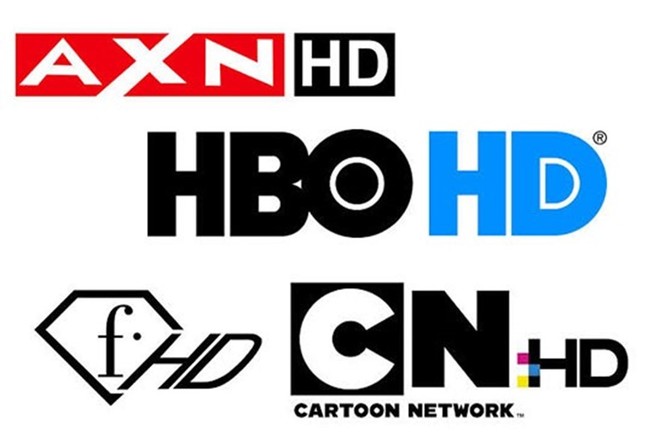 'Đọc sách và nghe nhạc giải trí, tại sao cứ phải HBO, Cinemax...?' - ảnh 1