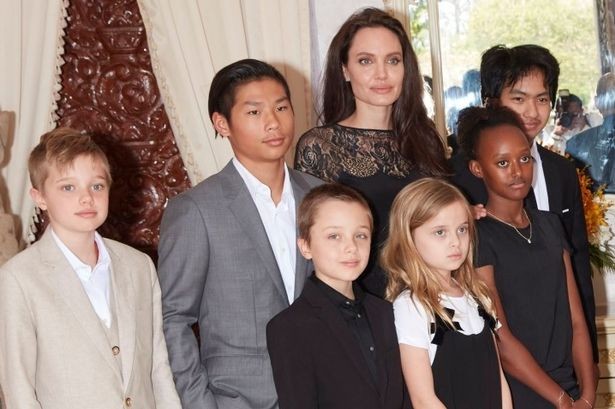 Brad Pitt 'bóc trần' Angelina Jolie trong 'Nhật ký ly hôn'? - ảnh 3