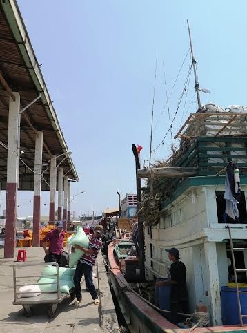 Ngư dân Cà Mau trúng đậm - ảnh 4