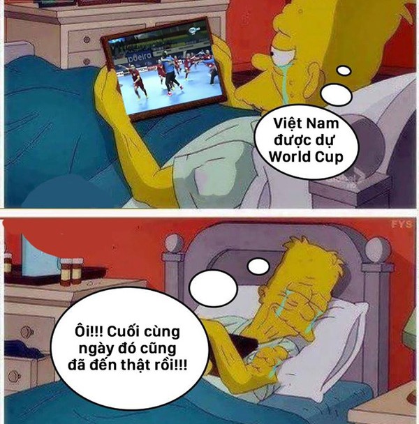 Fan chế ảnh so sánh thành tích của futsal và bóng đá nam VN - ảnh 1