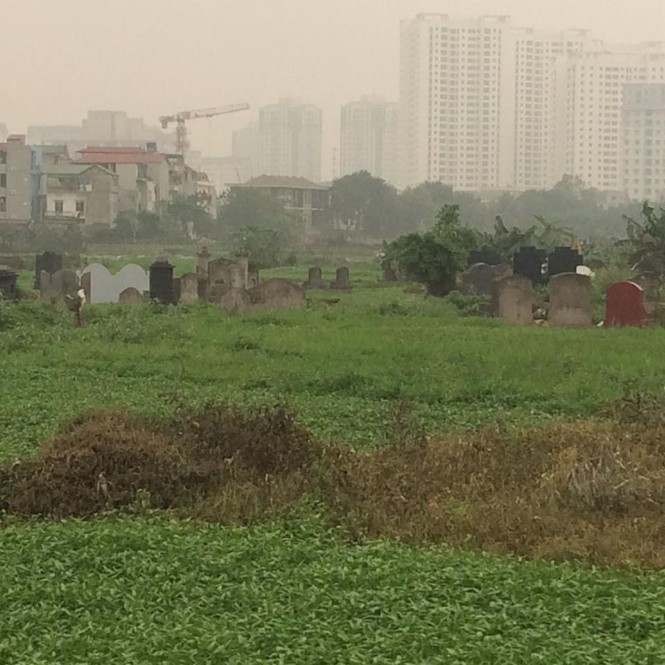 Hà Nội: Rau ở nghĩa địa xanh tốt không cần chăm bón - ảnh 24