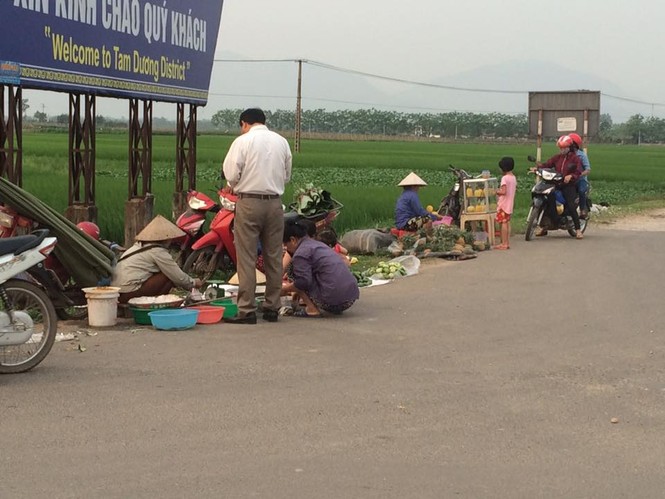 Dân Hà thành ‘săn’ hàng quê, chuộng chợ cóc - ảnh 1