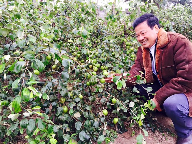 Dân Hà thành ‘săn’ hàng quê, chuộng chợ cóc - ảnh 8