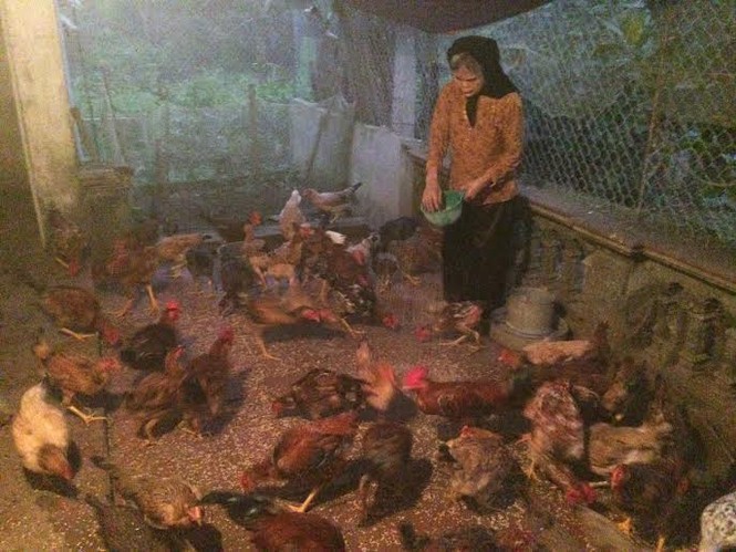 Dân Hà thành ‘săn’ hàng quê, chuộng chợ cóc - ảnh 14