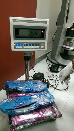 Khách Thái Lan mang 3kg ma túy đá vào sân bay Tân Sơn Nhất - ảnh 1