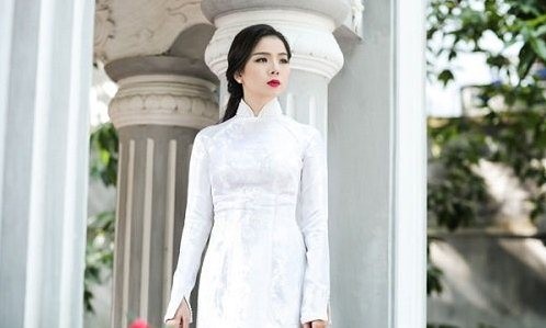 Lệ Quyên lên tiếng sau khi bị tố bỏ show ở Mỹ - ảnh 1