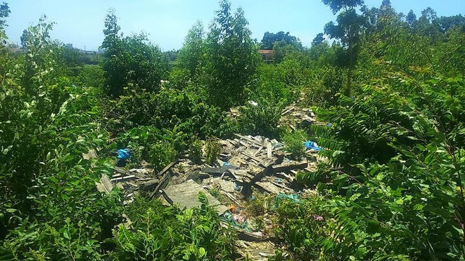Kiểm tra bãi rác lạ vừa phát hiện ở thị xã Kỳ Anh - ảnh 2