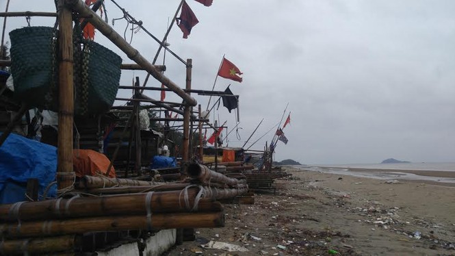 Bão số 3 vào Hà Nội suy yếu thành áp thấp nhiệt đới - ảnh 30