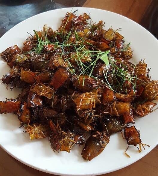 Hấp dẫn đặc sản ẩm thực vùng cao Nghĩa Lộ - ảnh 11