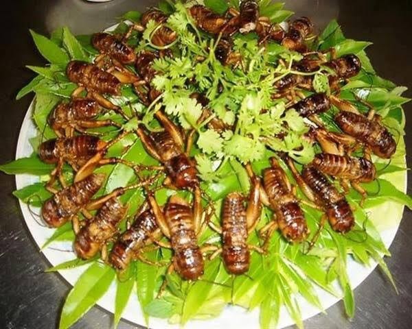 Hấp dẫn đặc sản ẩm thực vùng cao Nghĩa Lộ - ảnh 10