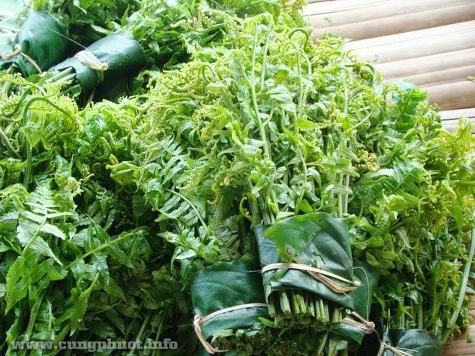 Hấp dẫn đặc sản ẩm thực vùng cao Nghĩa Lộ - ảnh 5