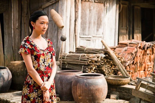 trương hồ phương nga - ảnh 2
