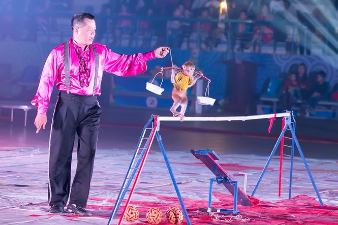 Nghẹn ngào nhìn các em nhỏ bịt khẩu trang đi xem xiếc - ảnh 13